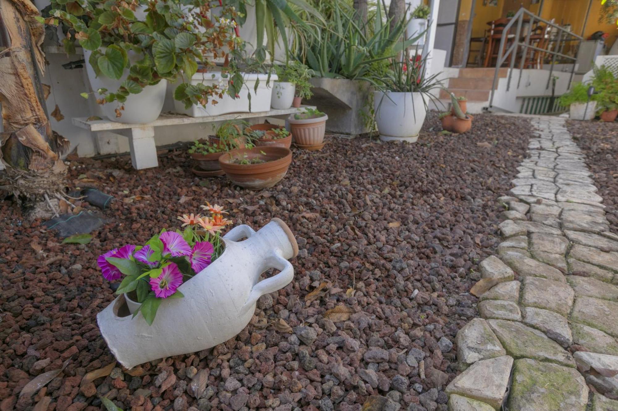 Loft Cerca Del Mar Tenerife Punta Del Hidalgo Zewnętrze zdjęcie